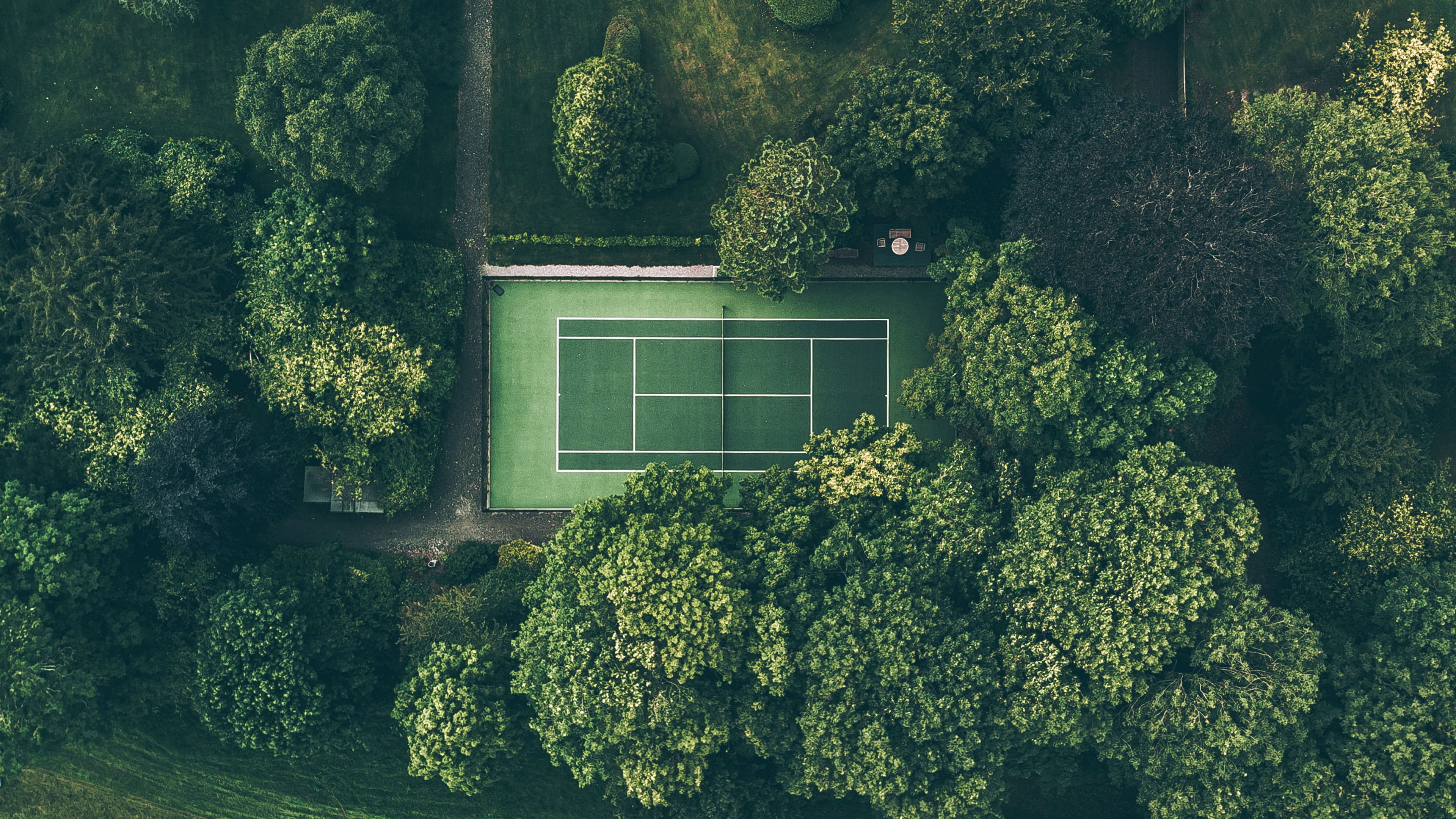 带有类选项的输入框