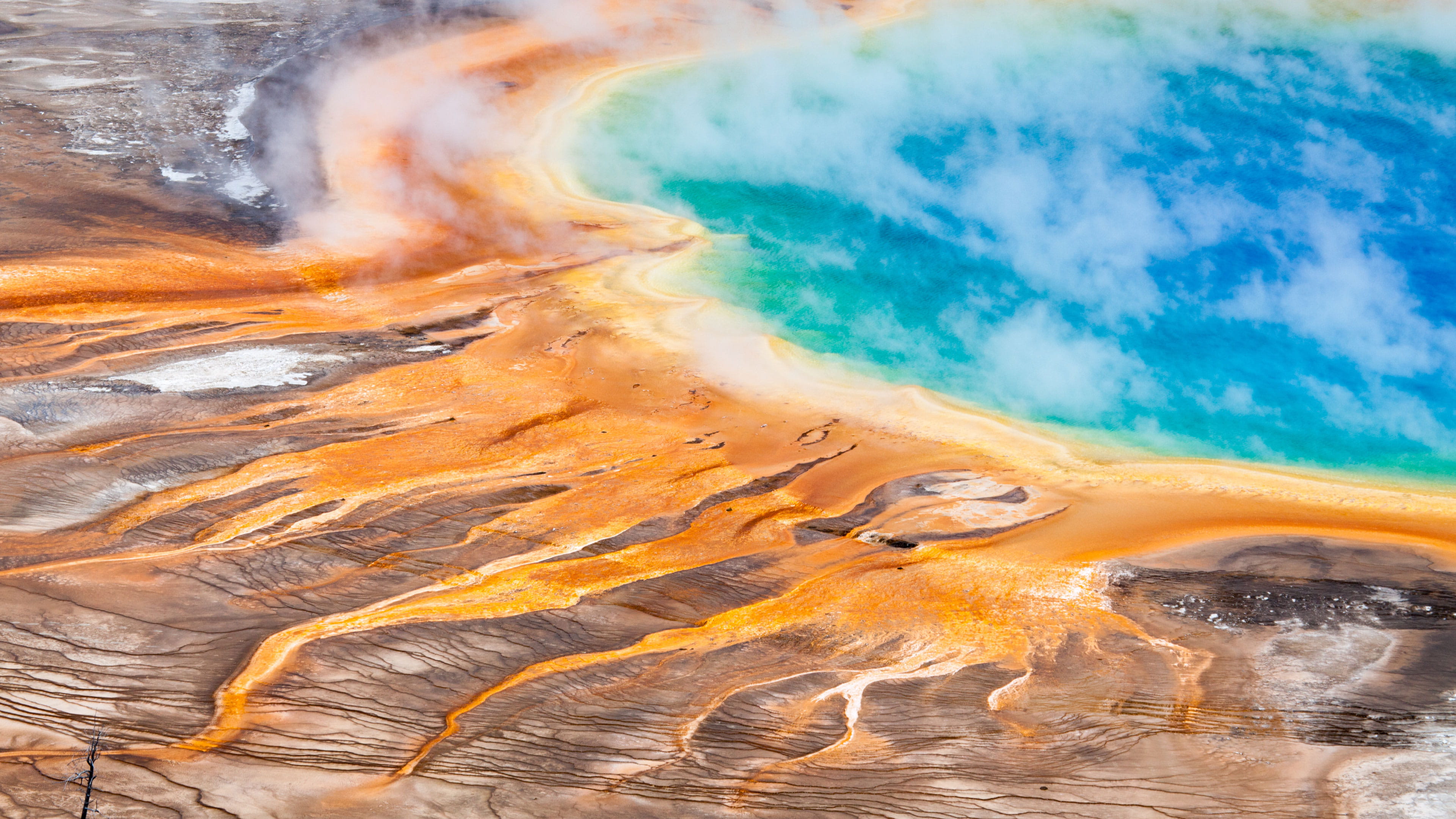 C语言实现读取excel数据处理后生成txt文件