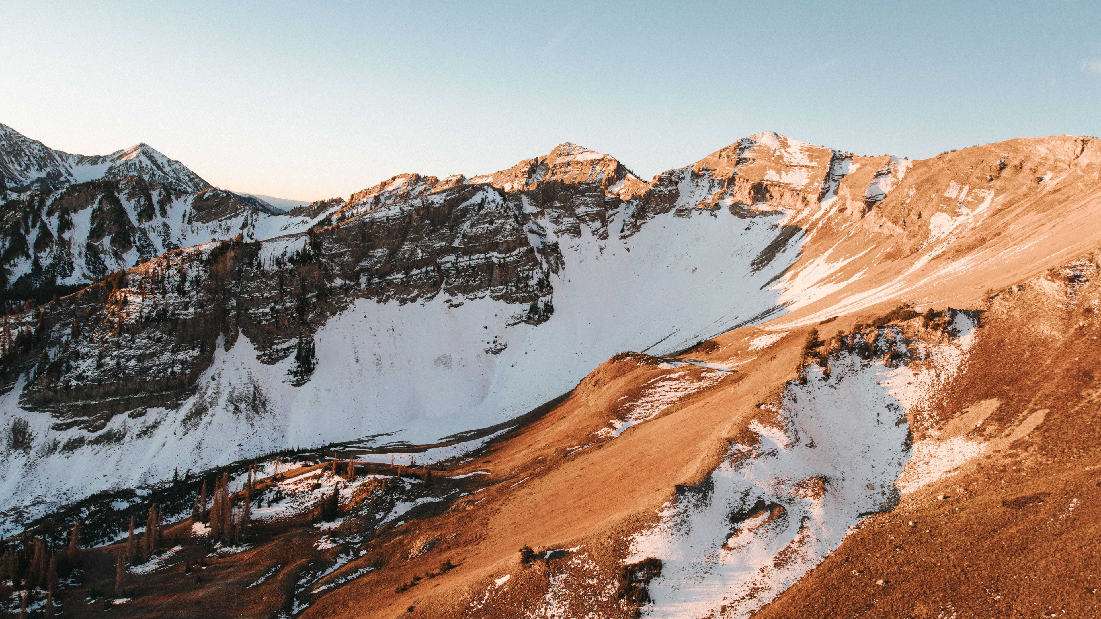 vue2中使用vuex全面解析